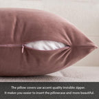 MIULEE Velvet Throw Pillow Covers 16x16 Inch, Pack of 2 - Jam, Soft Solid Decorative Pillow Covers Cushion Cases Modern Luxury Home Decor for Spring Couch Sofa Bedroom Livingroom