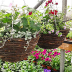 Rattan Hanging Basket for Plants Seagrass Hanging Planters Indoor Outdoor Plant Flower Hanging Pots Woven Straw Planter Ceiling Flower Pots for Decoration 2pcs