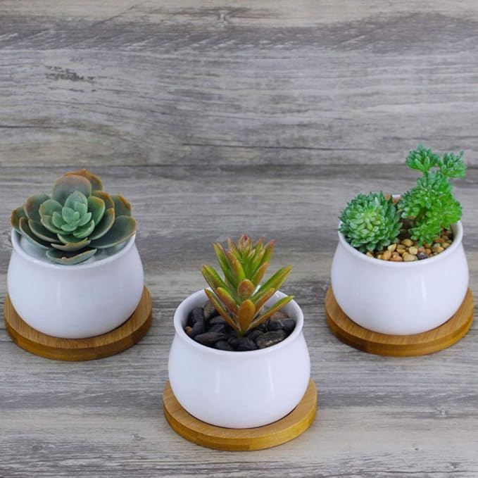 6pcs 3 inch Bamboo Round Plant Saucer, Mini Flower Pot Tray for Cactus Plant Pot Flower Pot Container Planter Bonsai Pots,no Plants Pot