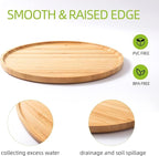 2 Pack Bamboo Saucer, 10.5 inch Plant Saucer, 10" Cactus Plant Tray, Round Bamboo Tray for Modern Ceramic Flower Pot, Planter Pot Tray, Also Use Cup Holder, Spoon Holder, Kitchen Utensil Rest