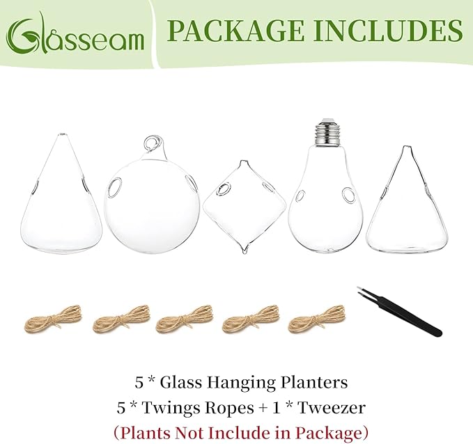Glasseam Hanging Planters Glass Terrarium: 5Pcs Modern Plant Propagation Stations Hydroponic Wall Vases for Air Plants Flowers Indoor Window Home Decor