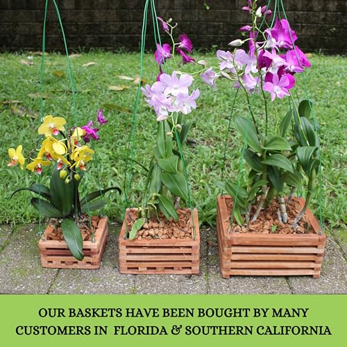 Set of 3 Strong Wooden Orchid Baskets with Hangers, Vanda Baskets for Outside - size: Set of 3