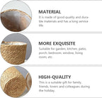 Veemoon 2Pcs Wicker Planter Basket, Rattan Grass Woven Flower Pot Seagrass Planter with Plastic Liner Farmhouse Storage Fruit Bowl Hyacinth Storage Baskets for Plant Flower Fruit Vegetable, 8.65inch H