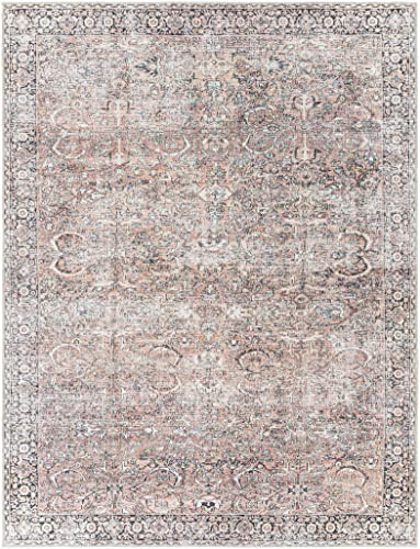 Hauteloom Handel Machine Washable Area Rug - Floral Border Medallion Distressed Faded - Traditional Oriental Transitional Oushak Vintage - Dusty Pink, Rust, Navy, Brown, Gray - 6'7" x 9' - color: Dusty Pink, Rust, Navy / Noda, size: 6'7" x 9' (Rectangular