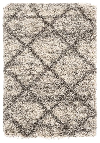 SAFAVIEH Hudson Shag Collection Accent Rug - 2' x 3', Grey & Beige, Modern Trellis Design, Non-Shedding & Easy Care, 2-inch Thick Ideal for High Traffic Areas in Foyer, Living Room, Bedroom (SGH281J) - color: Grey/Beige, size: 2' x 3' (Rectangular)