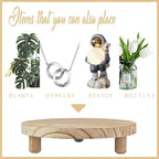 2 Pcs Wood Plant Stand Wooden Plant Stool Round Riser Display Stand Flower Pot Holder Low Plant Pot Flower Pedestal for Indoor Outdoor (Wood, 9.8 Inches)