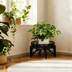 Plant Stands Indoor, 8.7 inch Single Plant Stand, Modern Plant Stool, Plant Holder for Flower Pots Fit for Living Room, Outdoor, Balcony.