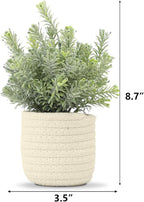 Hopewood Small Artificial Plants Eucalyptus with a Weave Basket Potted Plants for Home Office Desk Farmhouse Indoor Decor