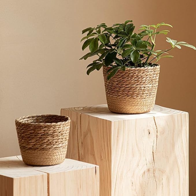 Handwoven Seagrass Planter Baskets - 3 Sizes Small Medium Large (Medium) Straw Plant Pot Covers for Indoor Plants Home Storage Rustic Boho Decor Organize Towels Toys Toiletries