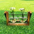 Kingbuy Glass Desktop Planter with Retro Wooden Stand and Plant Terrarium Vase (2 Hearts) for Indoor Home Office Desk Decor Accessories - size: Heart 2 Bulb