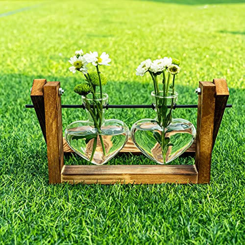 Kingbuy Glass Desktop Planter with Retro Wooden Stand and Plant Terrarium Vase (2 Hearts) for Indoor Home Office Desk Decor Accessories - size: Heart 2 Bulb