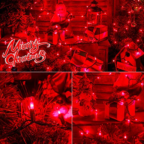 Hopolon Red Christmas Mini String Lights 2 Set 50Count 13Feet Incandescent Bulb Mini String Lights Waterproof for Indoor Outdoor Christmas Tree Garland Birthday Wedding Party Festival Decor,Red - color: Red,Green Wire, size: 2PACK, 50 count
