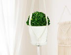 Macrame Plant Hangers Hanging Planter - 4 Pack Indoor or Outdoor Cotton Rope Hanging Plant Holder for Flower Pots - Modern Boho Home Decor, 3 Legs 42 Inch, US Brand