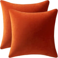 Throw Pillow Covers 18x18 Burnt Orange: Pack of 2 Cozy Soft Velvet Square Modern Luxury Decorative Throw Pillow Cases for Sofa Couch Living Room Bed Home Decor