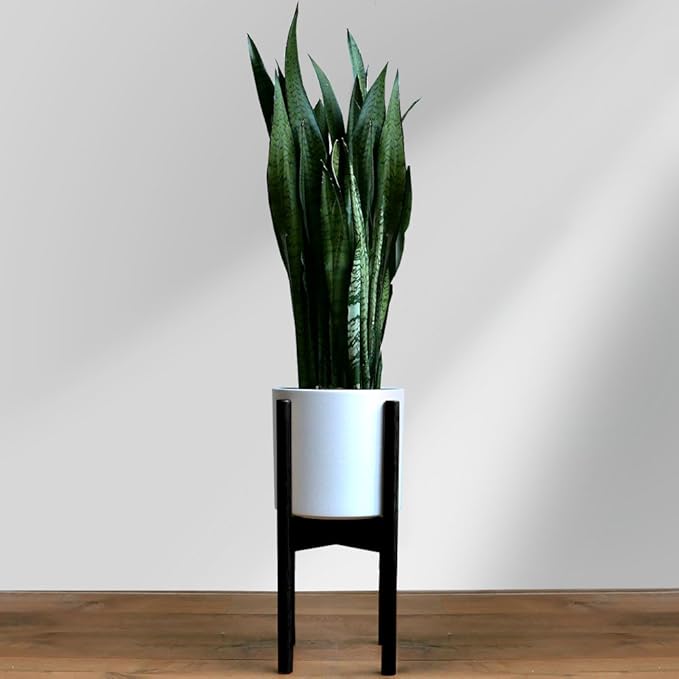 Fox & Fern Adjustable Plant Stand Indoor — 8 to 12 Inch Premium Mid Century Bamboo Plant Stand with Adjustable Width; Plug In Design; Easy to Assemble; Two Heights - For 8, 9, 10, 11 & 12 Inch Pots
