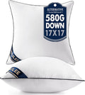 MIULEE 17x17 Pillow Inserts Set of 2 Throw Pillows 17 Inch Premium Down Alternative Pillow Inserts Decorative Pillow Stuffer for Sofa, Couch (17x17 inch, Set of 2)