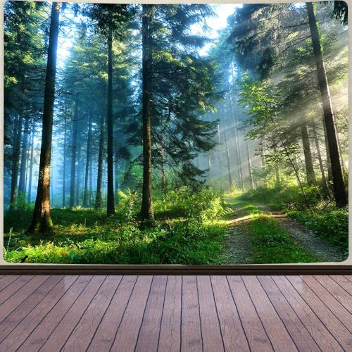 Aidatain Misty Forest Tapestry Wall Hanging Art Nature Sunlight Landscape Tapestries 80L X 60W Flannel Fabric Art Tapestries,for Living Room Dorm Bedroom Home GTOKAT0269 - color: colorful