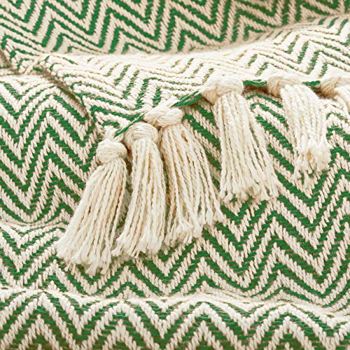 Americanflat 50x60 Throw Blanket - Soft and Breathable Cotton Throw Blanket for Couch, Bed, Chair - Decorative Blankets Perfect for Home, Office, or Outdoor Use - Sage and Beige Herringbone Design - color: Zaina Sage and Beige Herringbone