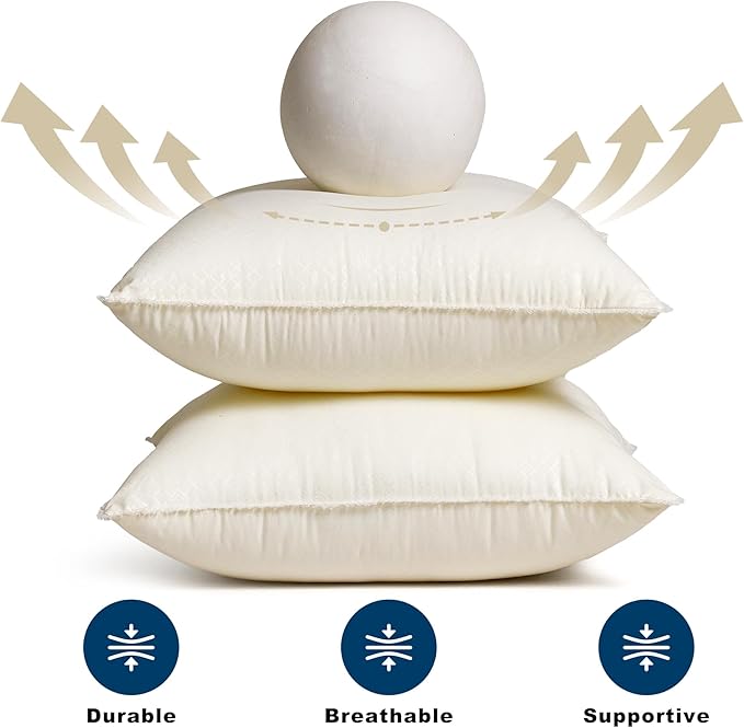 20 x 20 Throw Pillow Inserts - Soft and Plush, Virgin Fiber Filling, Decorative Pillows for Couch Sofa Bed, Machine Washable - White, Pack of 2