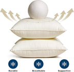 24 x 24 Throw Pillow Inserts - Soft and Plush, Virgin Fiber Filling, Decorative Pillows for Couch Sofa Bed, Machine Washable - White, Pack of 2