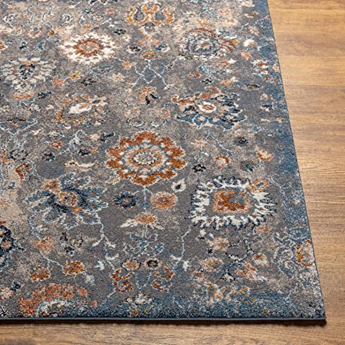 Hauteloom Nimes Living Room, Bedroom Area Rug - Floral Medallion Distressed Border Faded - Traditional Oriental Transitional - High Pile - Gray, Beige, Cream, Blue, Brown - 5'3" x 7'3" - color: Gray, Beige, Cream / Cochituate, size: 5'3" x 7'3" (Rectangul