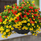 Riare 8 Pack 12 Inch Round Fabric Planter Basket Liner- Hanging Basket Liners Replacement Coco Fiber Liner Alternative for Hanging Basket Flowers (Prevent Birds from Nesting) - size: 12inch