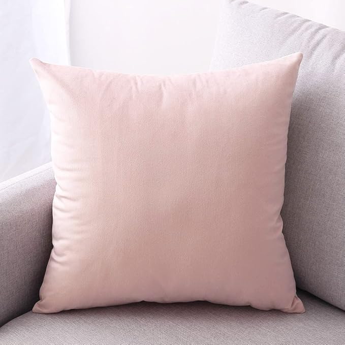 2 Pack Soft Velvet Couch Throw Pillow Covers 16x16 Inch for Sofa Living Room Bedroom (Pink)