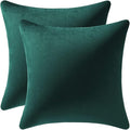 Throw Pillow Covers 20x20 Green: Pack of 2 Cozy Soft Velvet Square Modern Luxury Decorative Throw Pillow Cases for Sofa Couch Living Room Bed Home Decor Christmas