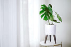 D'vine Dev 8 Inch Planter Pot with Stand, Mid-Century Tall Plant Pot with Legs for Indoor Plants, Small, White, 88-O-A-1