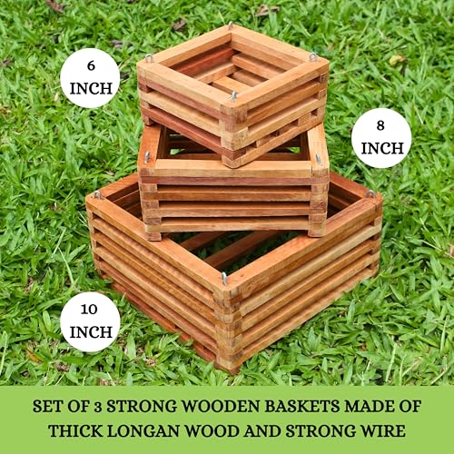 Set of 3 Strong Wooden Orchid Baskets with Hangers, Vanda Baskets for Outside - size: Set of 3