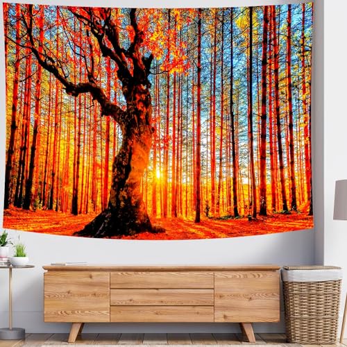 Delur Sunset Forest Tapestry Tree of Life Tropical Rainforest Landscape Tapestry Wall Hanging Scenic Nature Woodland Natural Sunrise Headboard for Bedroom Living Room Home Decor (51.2" x 59.1") - color: Sunset Forest, size: 51.2"L x 59.1"W