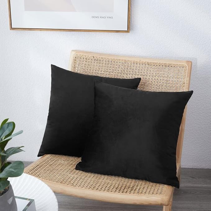 NiNi ALL Decorative Throw Pillow Covers Pack of 2 Velvet Throw Pillow Cases for Couch Pillows Cover Bedroom Living Room Outdoor, Pillow Covers 12x12 Inch Black