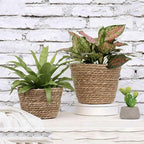 Hand Woven Planter Basket with Liner Rustic Straw Flower Pot for Indoor Outdoor Plants Balcony Living Room Decor 7.8X9.75X7.8 Inches