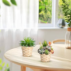 Zerodeko Mini Woven Bamboo Storage Basket 3.54X3.54X2.95 Inch Portable Set of 10 Natural Rustic Organizer for Home Office Tabletop Fruit Display and Artificial Flower Holder