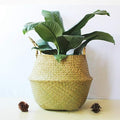 Newooh Craft Small Seagrass Belly Basket for Storage, Laundry, Picnic and Woven Straw Beach Bag - Plant Pots Cover Indoor Decorative
