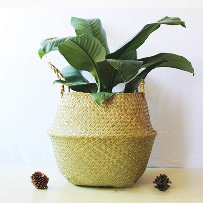 Newooh Craft Small Seagrass Belly Basket for Storage, Laundry, Picnic and Woven Straw Beach Bag - Plant Pots Cover Indoor Decorative