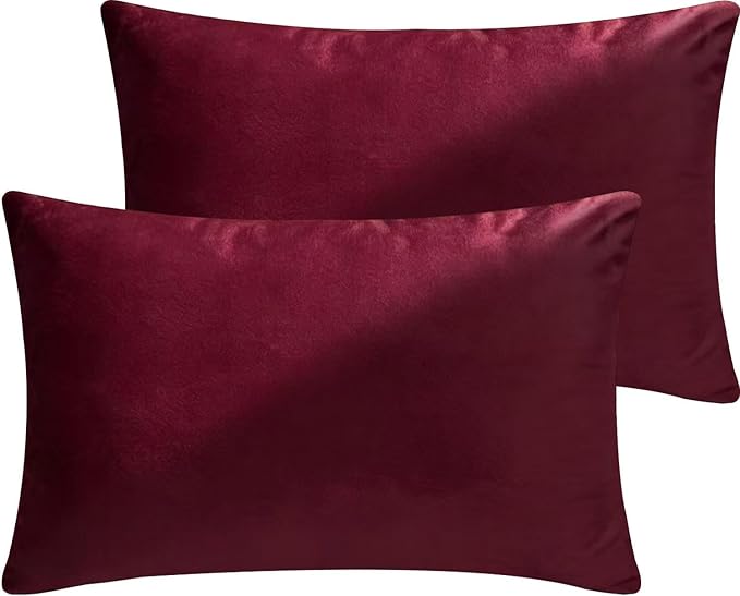 2 Pack 12x20 Pillow Cover Velvet Pillow Covers, Square Throw Pillow Covers for Living Room Decorations Throw Pillow Case, Throw Pillow Cover Cushion Cover for Sofa Bedroom Car, Burgundy Red Velvet