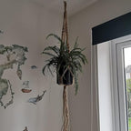 LINXIU Macrame Plant Hangers Jute Plant Hanger Indoor Hanging Plants Holders with 2 Hooks for Home Decor Wall Flower Pots Basket 2 Packs