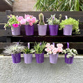 LaLaGreen Hanging Planter Outdoor - 10 Pack, 4 Inch Fence Planters Outdoor Purple Hanging Window Flower Bucket Metal Succulent Pots Balcony Railing Wall Garden Deck Porch Herb Plant Macetas Exterior - size: 4 Inch (Purple)