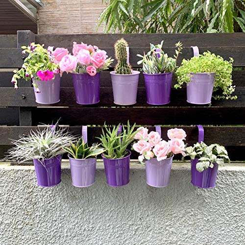 LaLaGreen Hanging Planter Outdoor - 10 Pack, 4 Inch Fence Planters Outdoor Purple Hanging Window Flower Bucket Metal Succulent Pots Balcony Railing Wall Garden Deck Porch Herb Plant Macetas Exterior - size: 4 Inch (Purple)