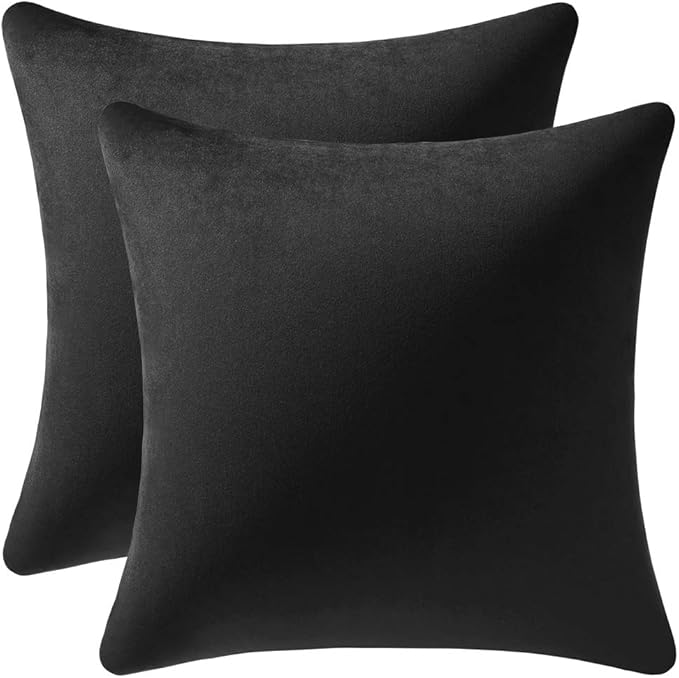 Throw Pillow Covers 16x16 Black: Pack of 2 Cozy Soft Velvet Square Modern Luxury Decorative Throw Pillow Cases for Sofa Couch Living Room Bed Home Decor