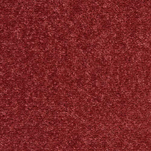 Nourison Home Nourison Essentials Brick Red 2'2" x 10' Area Rug - Easy Clean, Non Shedding, Bed Room, Living Room, Dining Room, Kitchen (10' Runner) - color: Brick Red, size: 2'2" x 10' (Runner)
