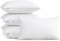 Leeden 12 x 20 Pillow Inserts (Set of 4) - Throw Pillow Inserts with 100% Cotton Cover - Rectangle Interior Sofa Pillow Inserts with Zipper for Sofa, Couch and Home Decor- White