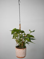 Chain for Hanging Plants,11 Inch Black Hanging Chain, Small Hanging Basket Chain Kits with Hooks for Bird Feeder Hanging Basket Extender Porch Wind Chime (Black, 11 Inch-12PCS)