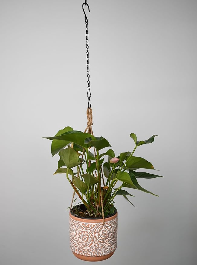 Chain for Hanging Plants,11 Inch Black Hanging Chain, Small Hanging Basket Chain Kits with Hooks for Bird Feeder Hanging Basket Extender Porch Wind Chime (Black, 11 Inch-12PCS)