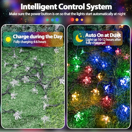 OZS 2PK 80LED 50FT Flower Solar String Lights Outdoor Waterproof, Cherry Blossoms Multicolor Lights with 8 Lighting Modes, Garden Decor for Outside, Pathway Light for Fence, Patio, Yard - color: Cherry-Multicolor