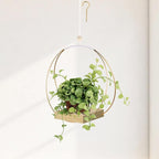 Hanging Planters for Indoor Plants - Plant Hanger Outdoor, Metal Plant Hanger Mid Century Boho Macrame, Hanging Wall Ceiling Window, Gift for Mom, Plant Lovers, Housewarming