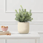 Hopewood Small Artificial Plants Eucalyptus with a Weave Basket Potted Plants for Home Office Desk Farmhouse Indoor Decor