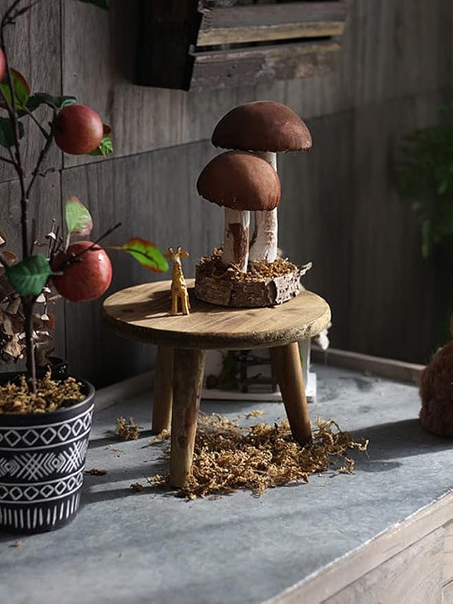 Mini Round Wooden Stool, Indoor Plant Stand Table, Decorative Wooden Stool Display Stand Modern Plant Stand Flower Pot Holder for Outdoor Indoor Home Garden Patio(M)