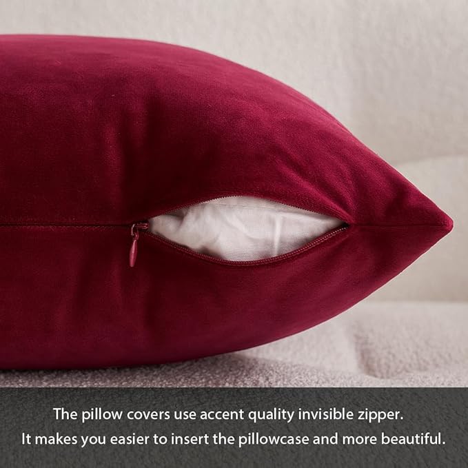 MIULEE 24x24 Inch Euro Sham Velvet Pillow Covers, Set of 2 Large Square Decorative Pillows -Wine Red Super Soft for King Bed, Sofa, Couch, Accent Chairs